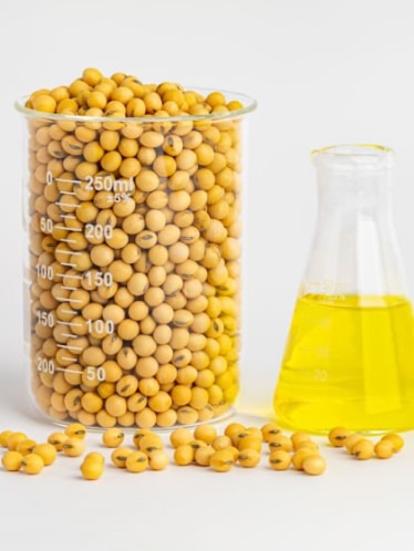 Main Feedstocks